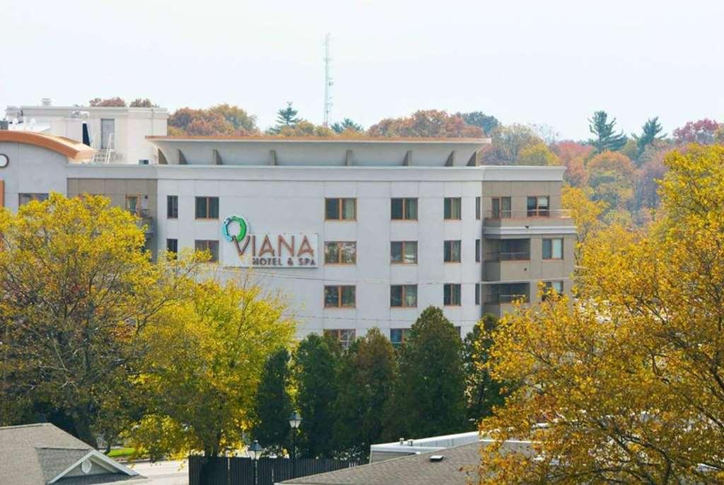 Viana And Spa, Trademark Collection By Wyndham 4*